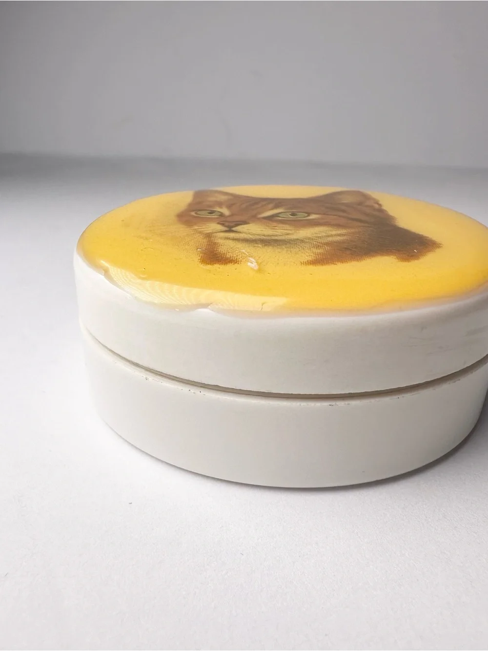 Vintage Orange Ginger Tabby Cat Head Portrait Trinket Pill Box Divider Organizer